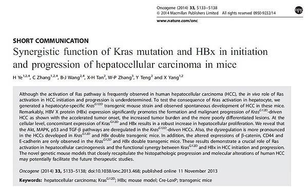 KAS+HBV.jpg