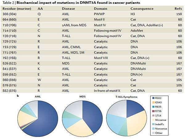 DNMT3A mutation site.tif