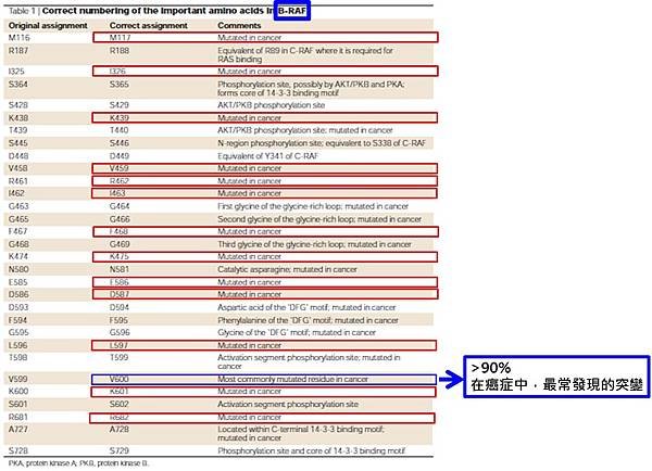 BRAF常發生突變的位置.jpg