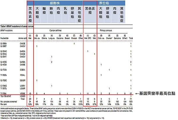 BRAF癌症突變機率.tif