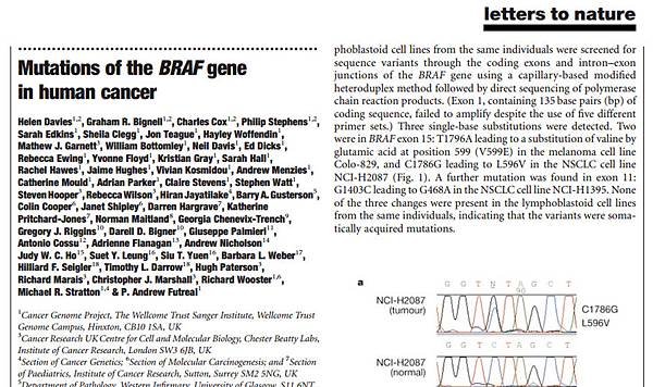 Mutations of B-RAF gene in human cancer.tif