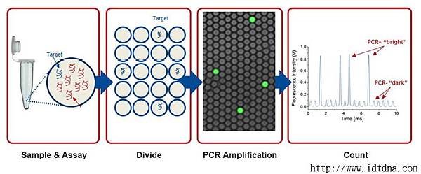 d3-4-cc-dpcr-fig1.jpg