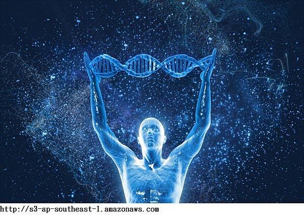 dna-human-body.jpg