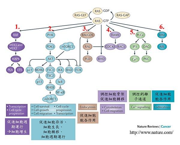 圖片3.tif