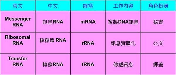 RNA表格.tif