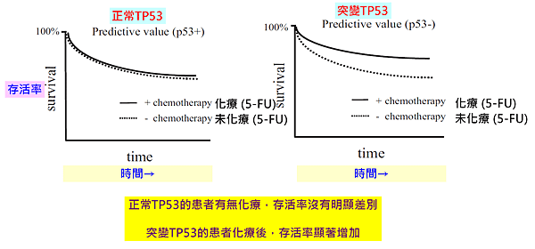 TP53-5-FU大腸癌.png