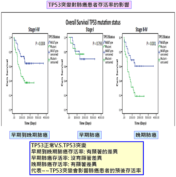 TP53突變-肺癌存活率.png