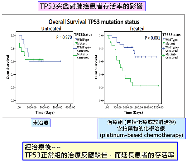 TP53突變-治療存活率.png