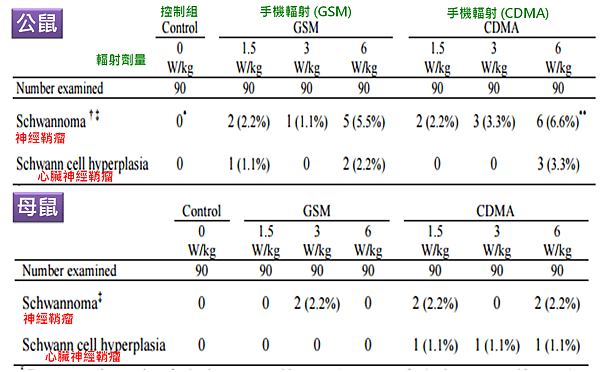 手機輻射-心臟.png