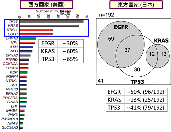 肺癌-1.png