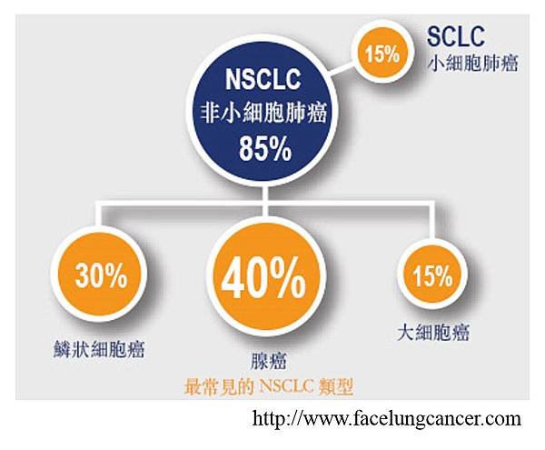 2. NSCLC.tif