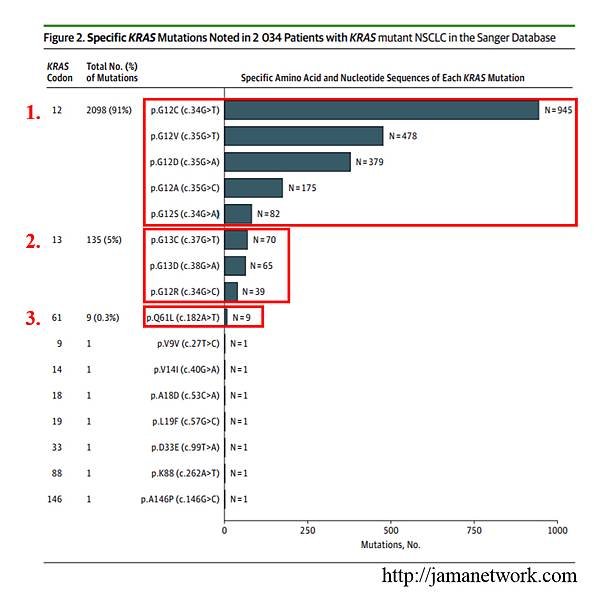 4. NSCLC-KRAS gene mutation.tif