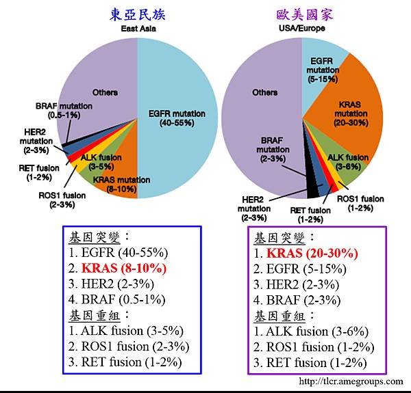 3. NSCLC gene mutation.tif