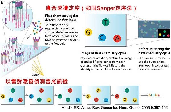 圖片3.jpg