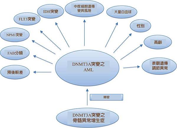 DNMT3A and AML relation factor.tif