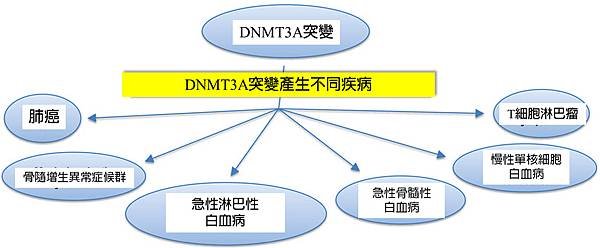 DNMT3A and other disease.tif