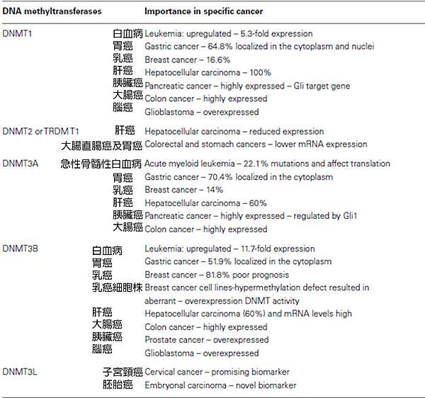DNMT與癌症.tif