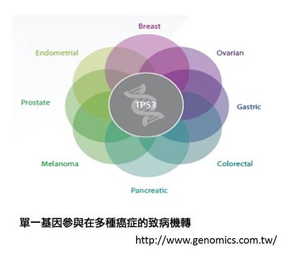 基因檢測-4.tif