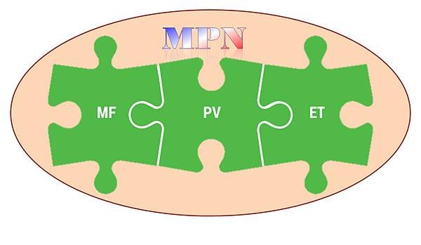 MPN封面.tif