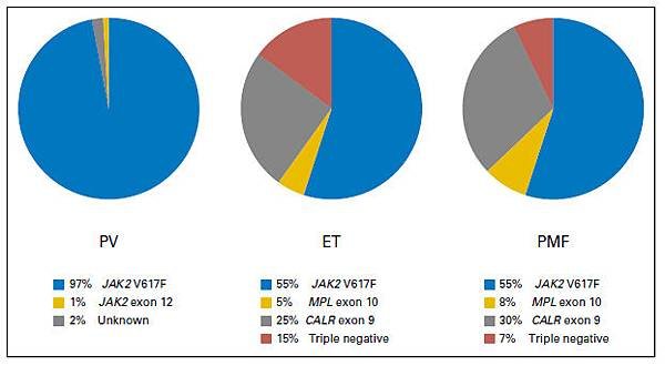 MPN diver gene mutation rate.tif