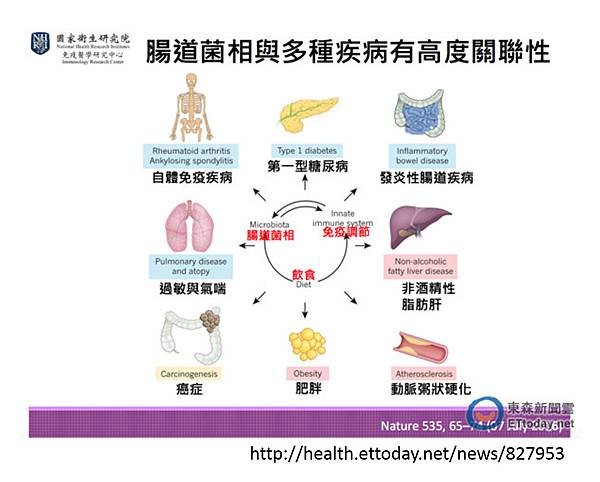 腸道菌-1.tif