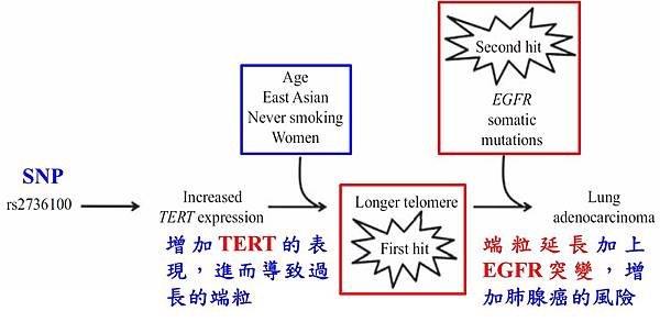 圖片4.jpg