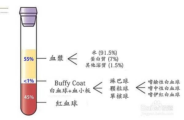 Blood-gradient.tif