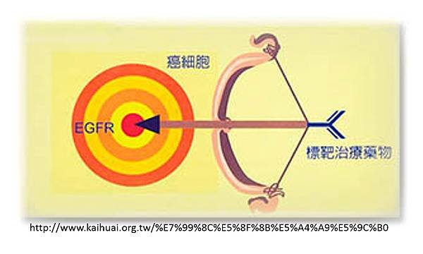 標靶治療-1.tif