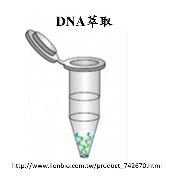 息肉收檢-6.tif