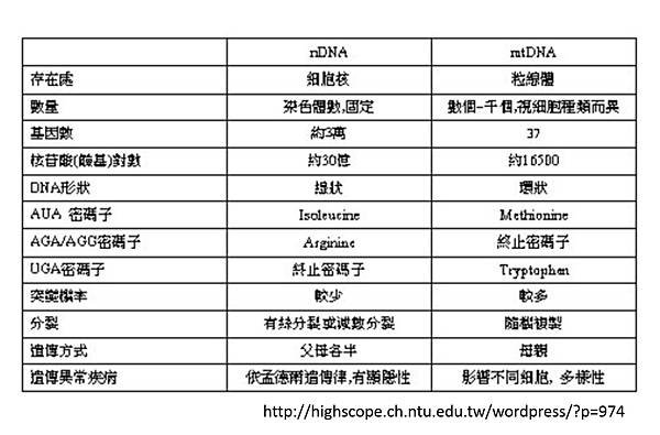 Mitochondria-4.tif