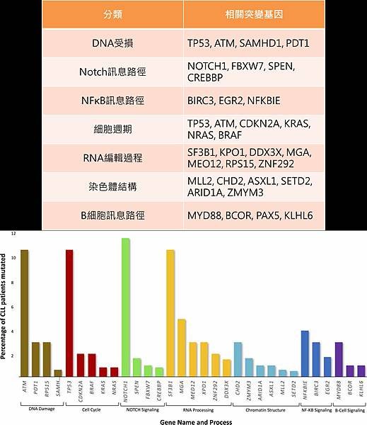 CLL-gene mutation.tif