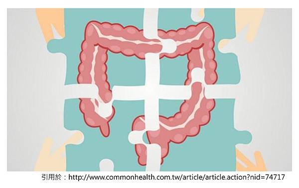 colon methylation-封面.tif