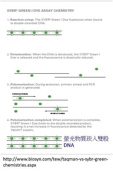 圖片2.jpg