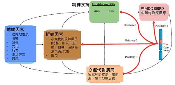 精神疾病關係圖.tif