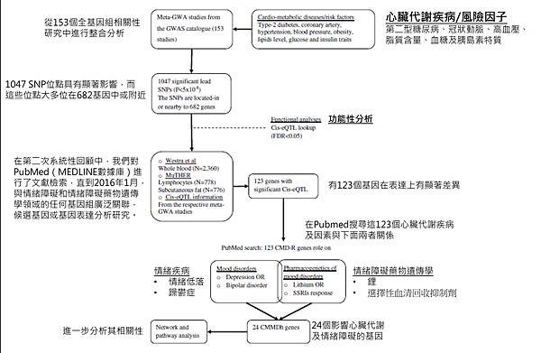 精神疾病-文獻探討流程圖.tif