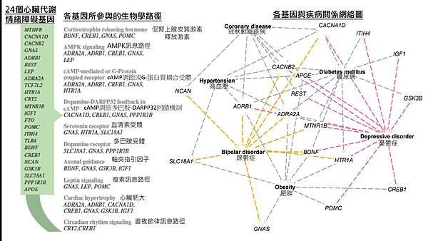 精神疾病-疾病關係網絡圖.tif