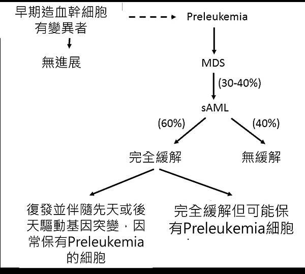 preleukemia-發展過程.tif