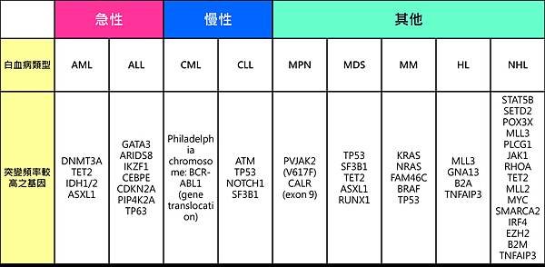 統整白血病-突變基因.tif