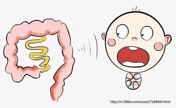 colon-serrated polyps-封面.tif