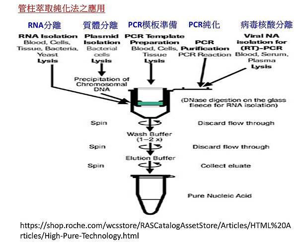 圖片4.jpg