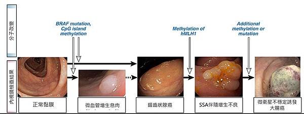 colon-molecular alternation.tif