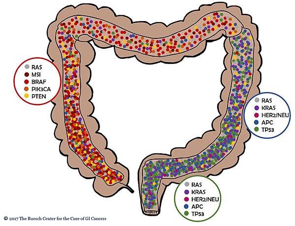 Colon-different site-gene mutation-total.tif