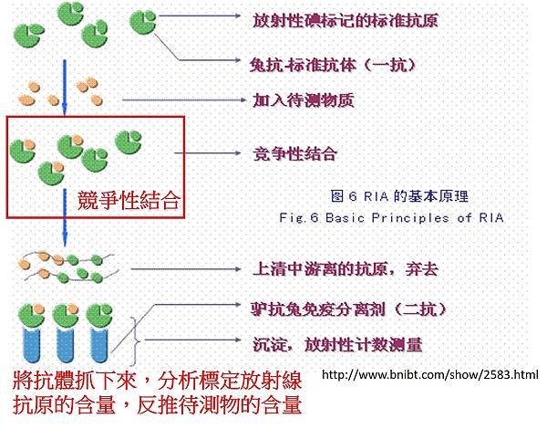 圖片2.jpg