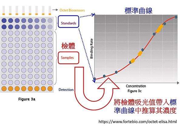 圖片6.jpg