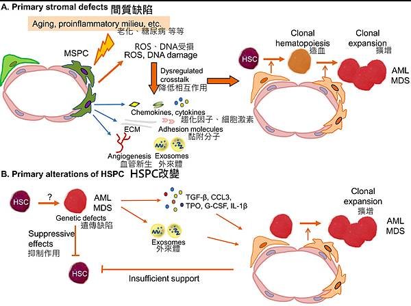 MSC-genetic alternation.tif