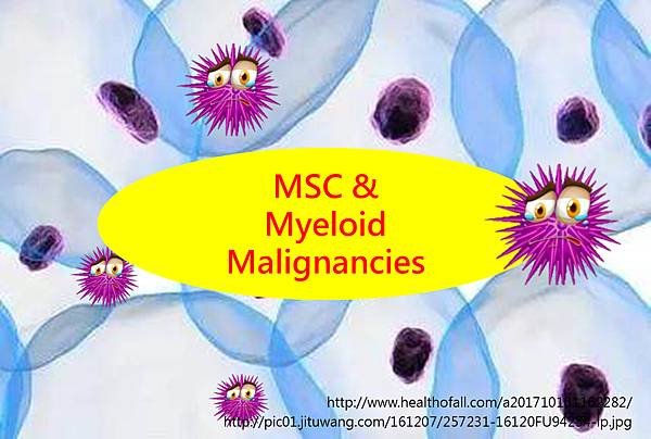 MSC and myeloid malignancied-封面.tif