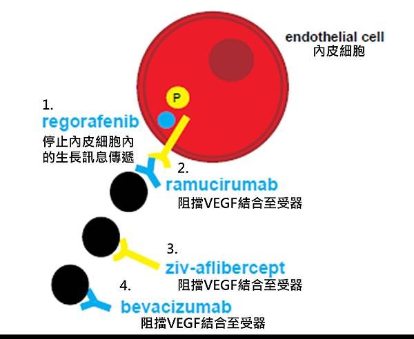 Colon-NCCN-VEGF targeted pathway.tif