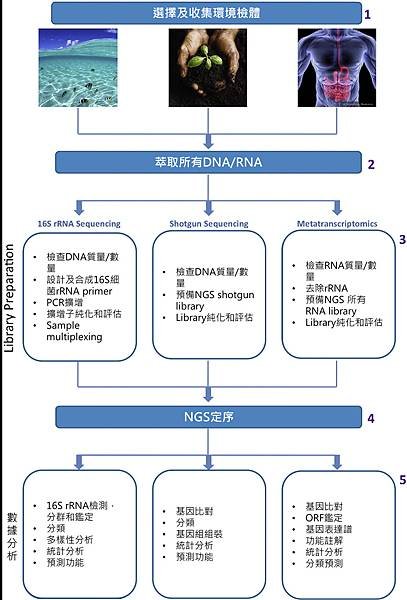 Microbiota-NGS strategy.tif