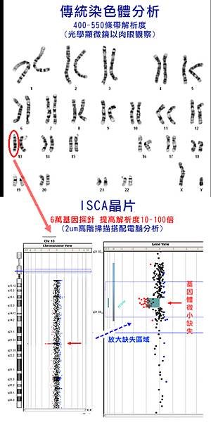 羊水晶片-2.tif