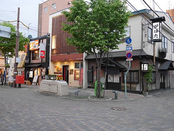 P1000317.JPG